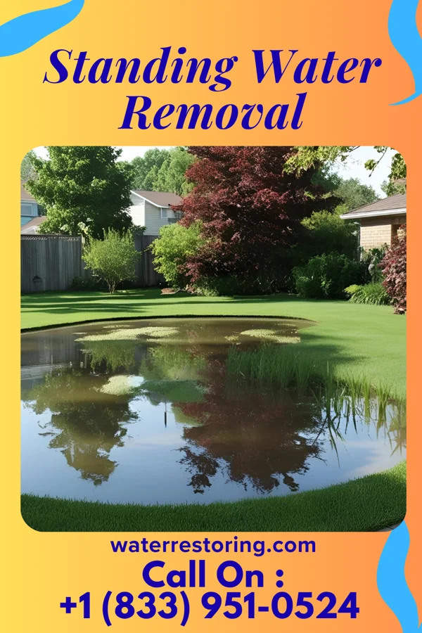Standing Water Removal in Tioga, ND